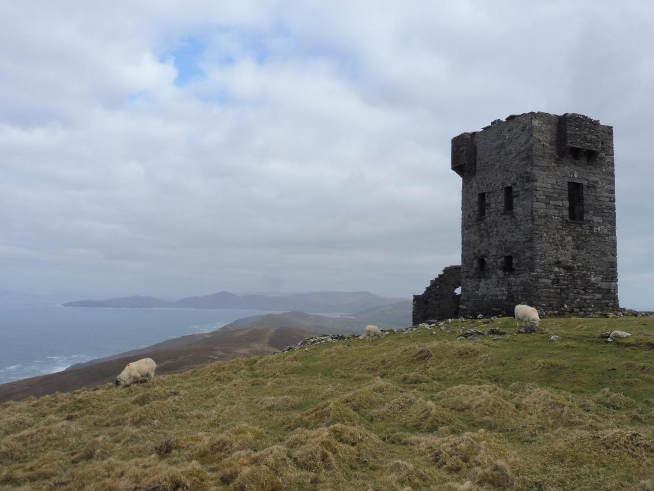 Bed and Breakfast Island View House Castletownbere Esterno foto