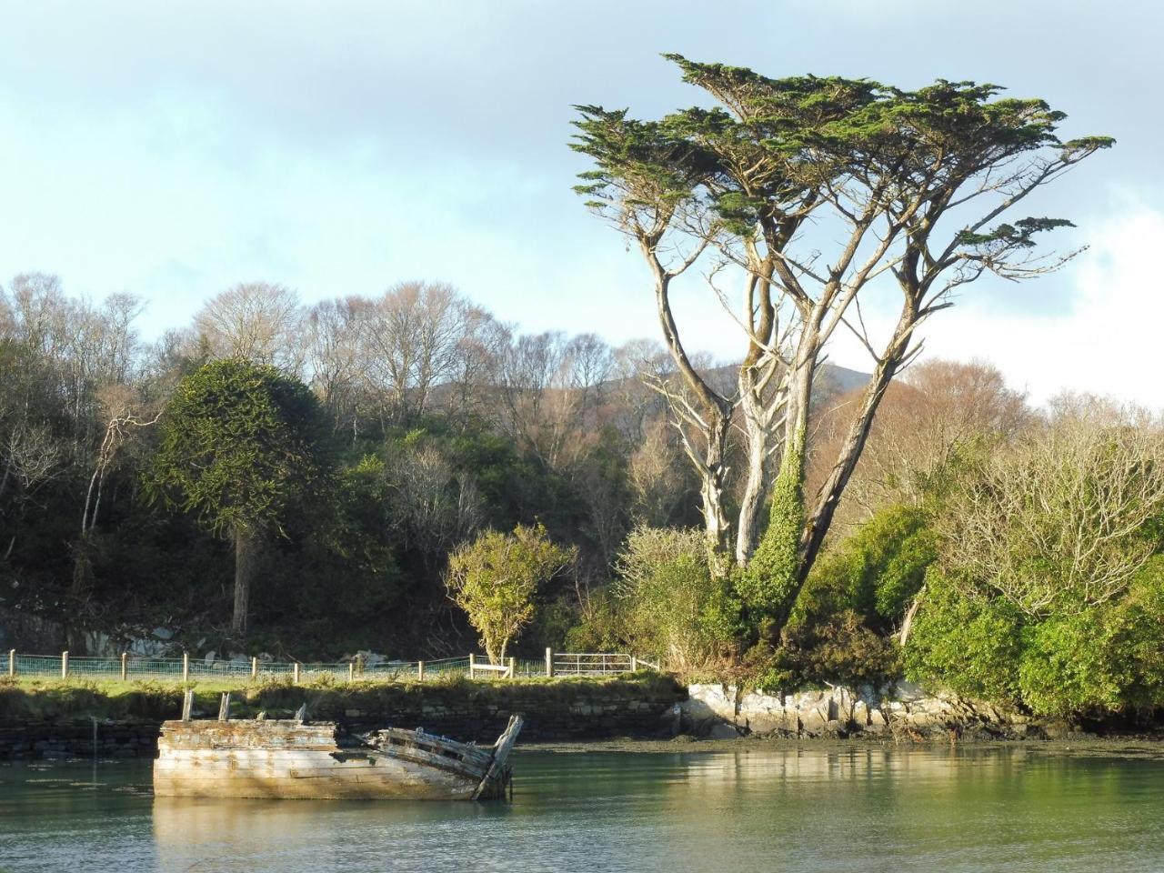 Bed and Breakfast Island View House Castletownbere Esterno foto