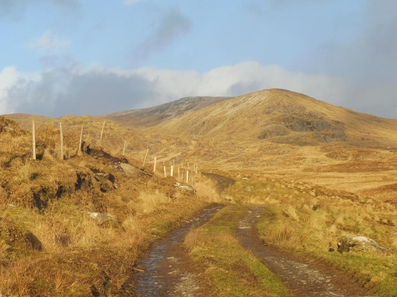 Bed and Breakfast Island View House Castletownbere Esterno foto