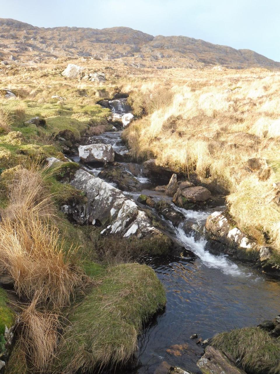 Bed and Breakfast Island View House Castletownbere Esterno foto
